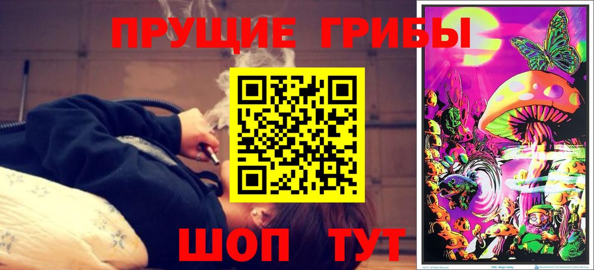 Бийск  Псилоцибиновые грибы Cubensis  Вход с VPN  Галлюциногенные грибы Magic Shrooms 